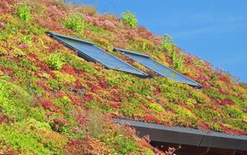 Wadsley living roof systems